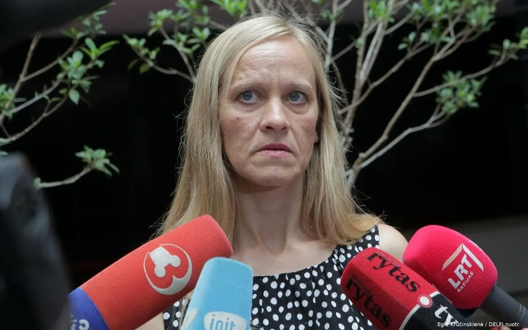 egle krucinskiene teisme 82921321