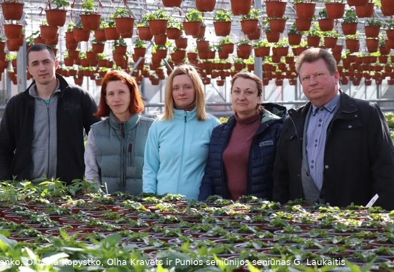 a zemaicio sunus eimantas zemaitis marina litoshenko oksana kopystko olha kravets punios sen glaukaitis