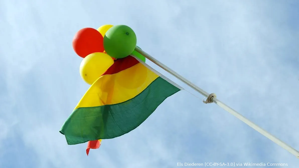 carnavalsdriekleu rood geel groen vlag