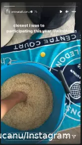 raducanurice