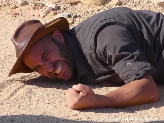 coyotepeterson