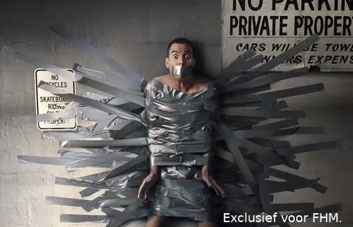 steveo header