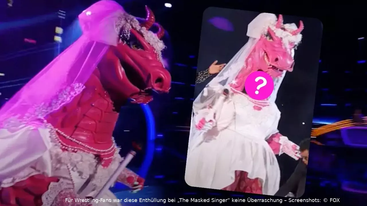 masked singer enthuellt