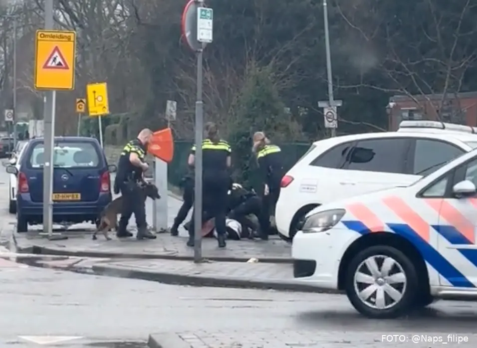 politie grijpt hard in rotterdam