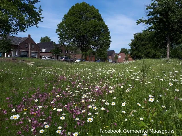 lente ecologisch beheer