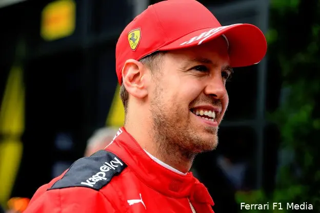 Vettel portret zijkant