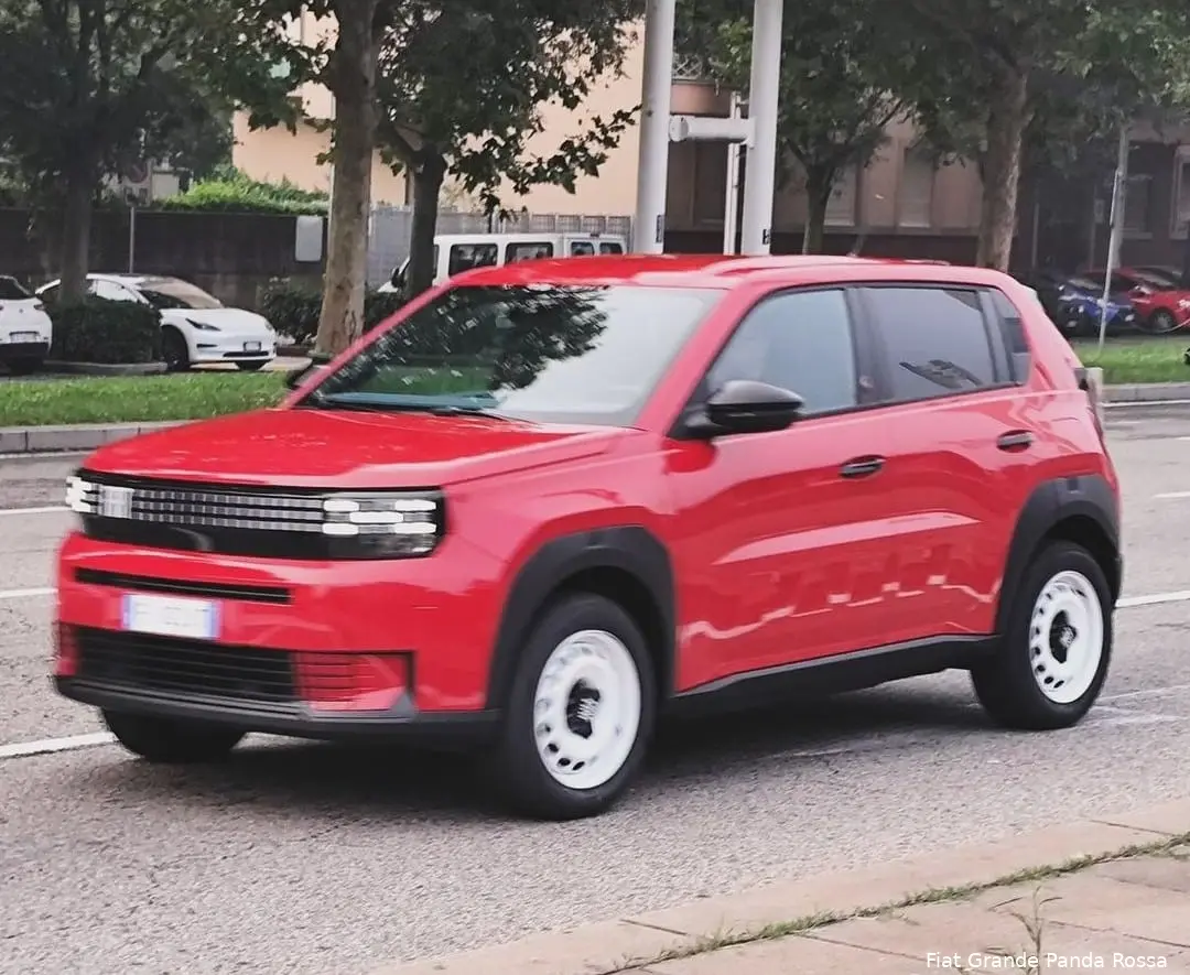 fiat grande panda rossa