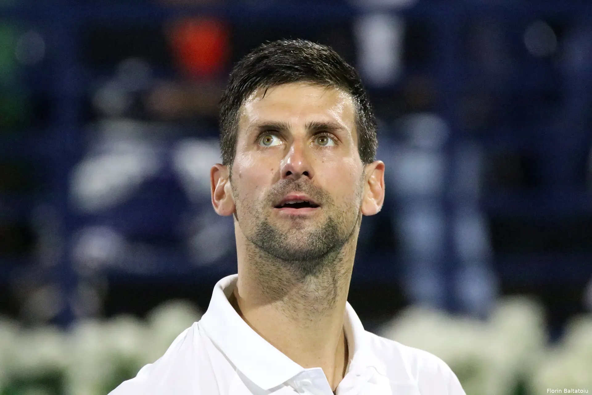 djokovic novak dubai2022 florinbaltatoiu19