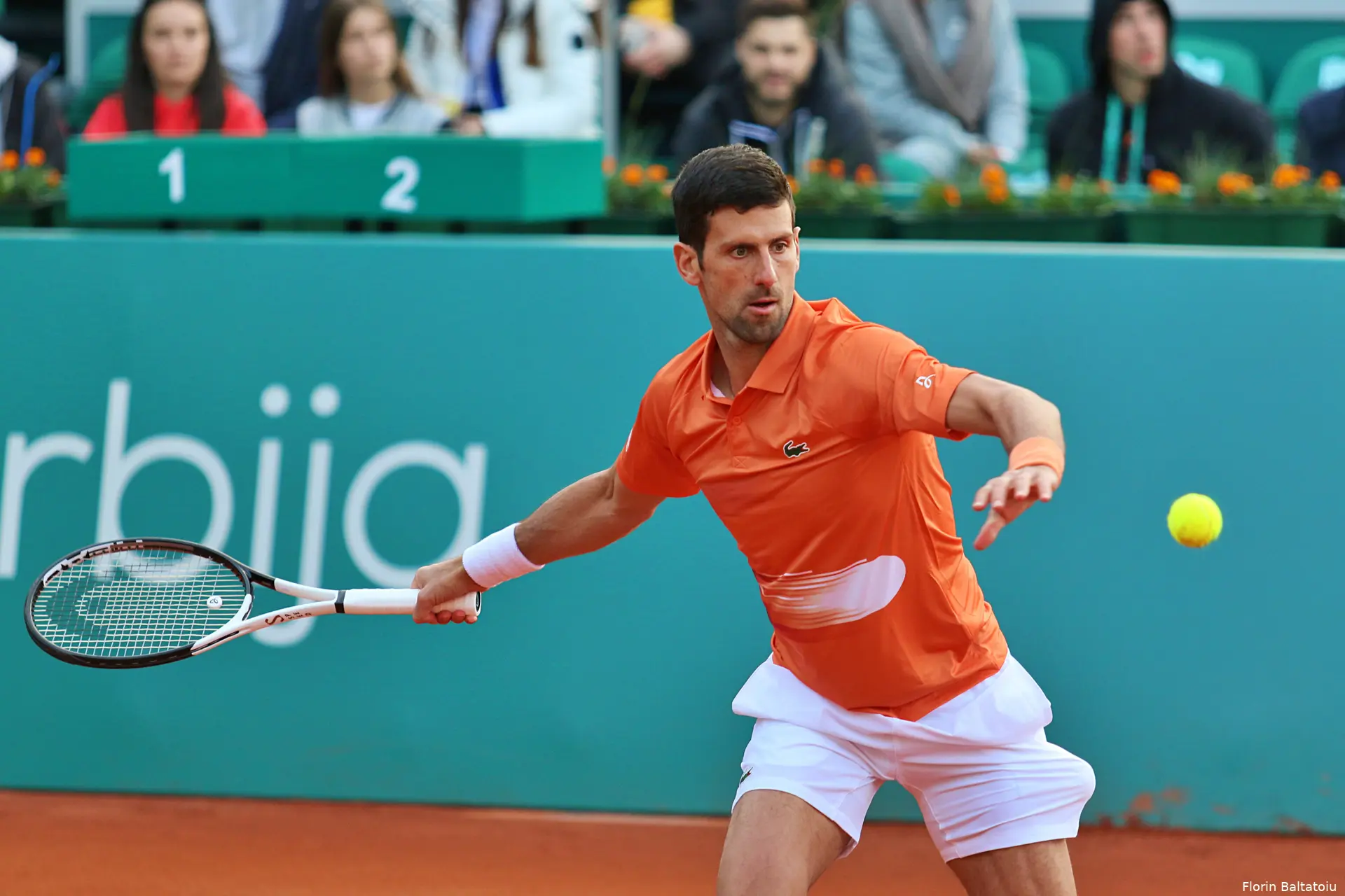 Djokovic Novak SerbiaOpen2022 FlorinBaltatoiu20