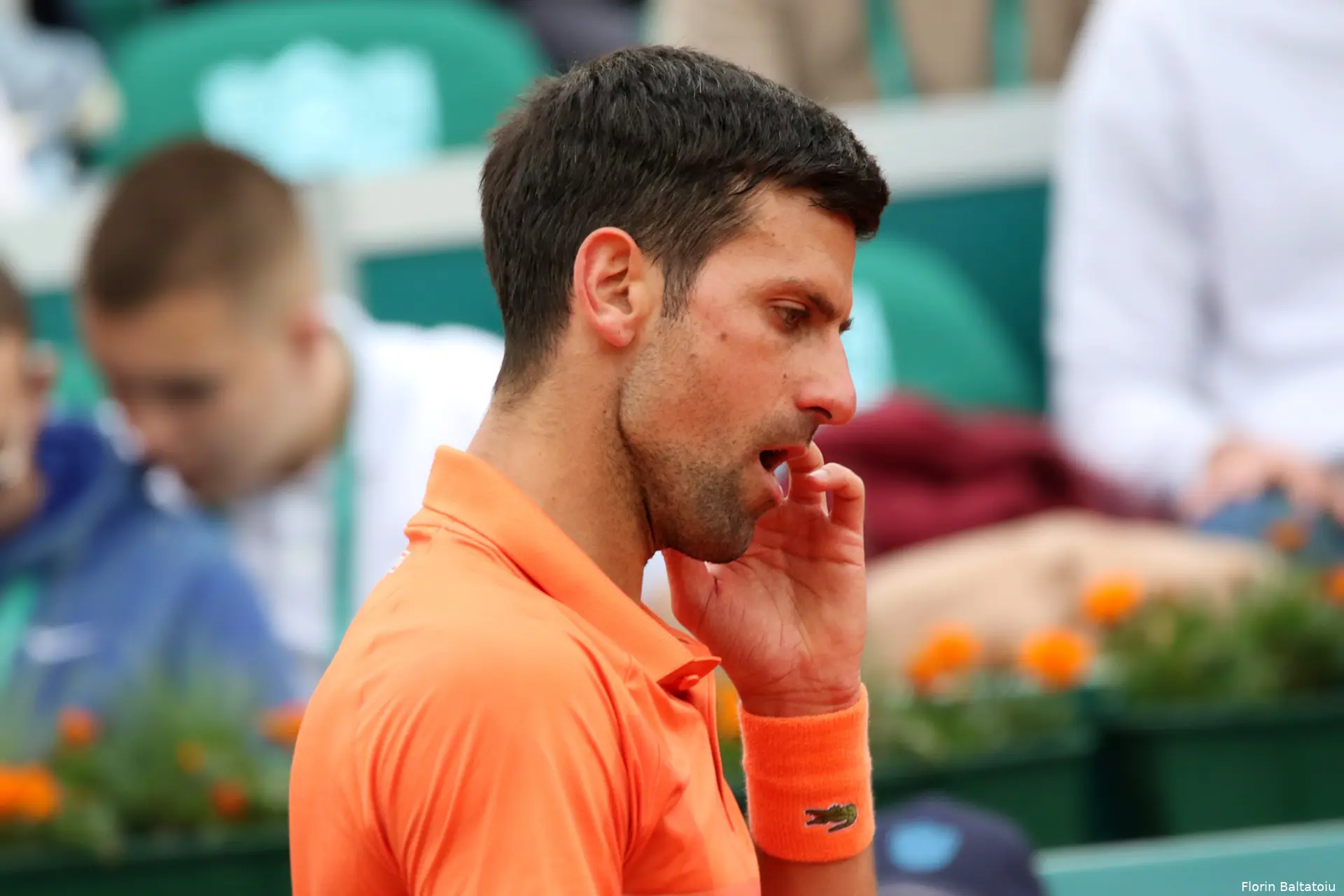 djokovic novak serbiaopen2022 florinbaltatoiu26