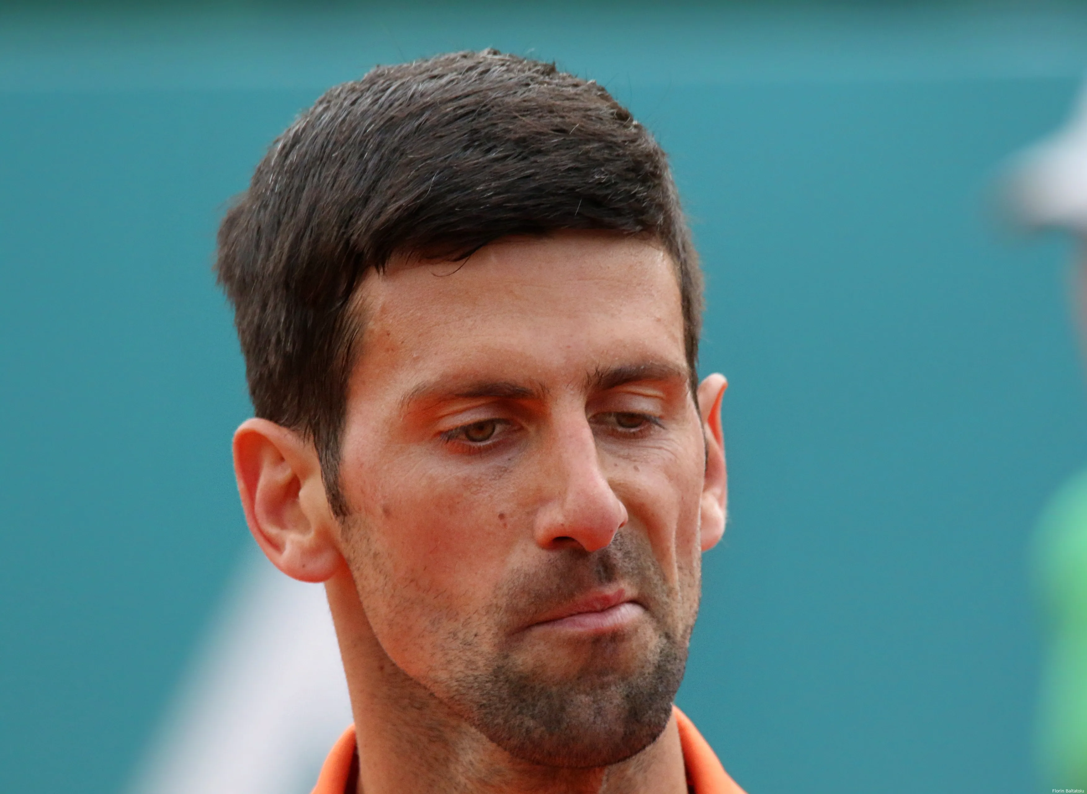 djokovic novak serbiaopen2022 florinbaltatoiu51