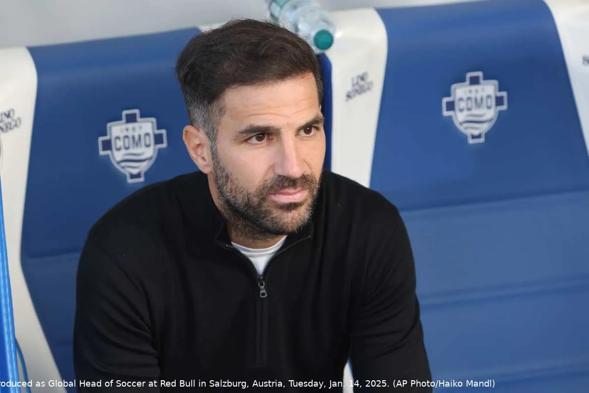 fabregas panchina 1