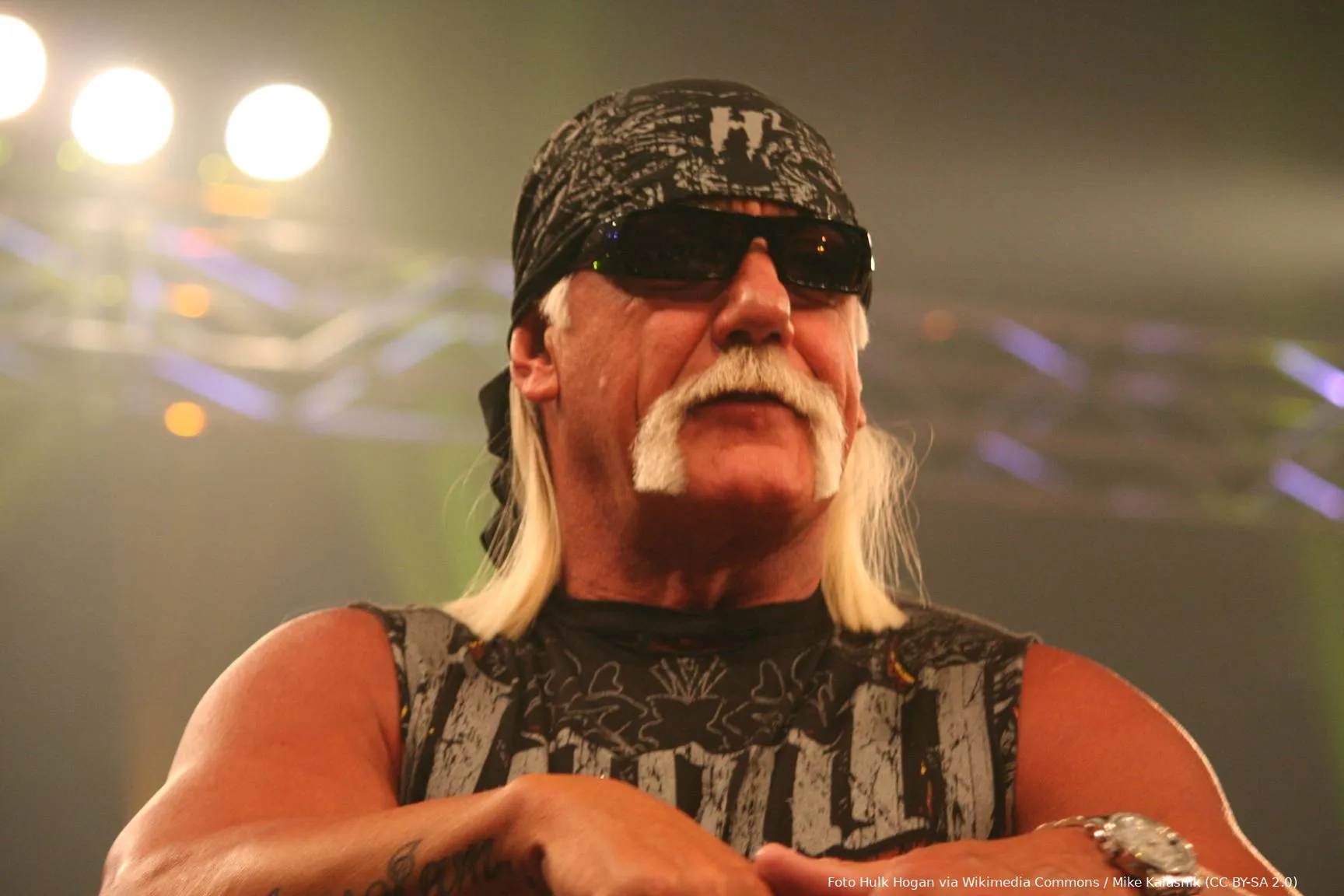 Hulk_Hogan_(4867605429)