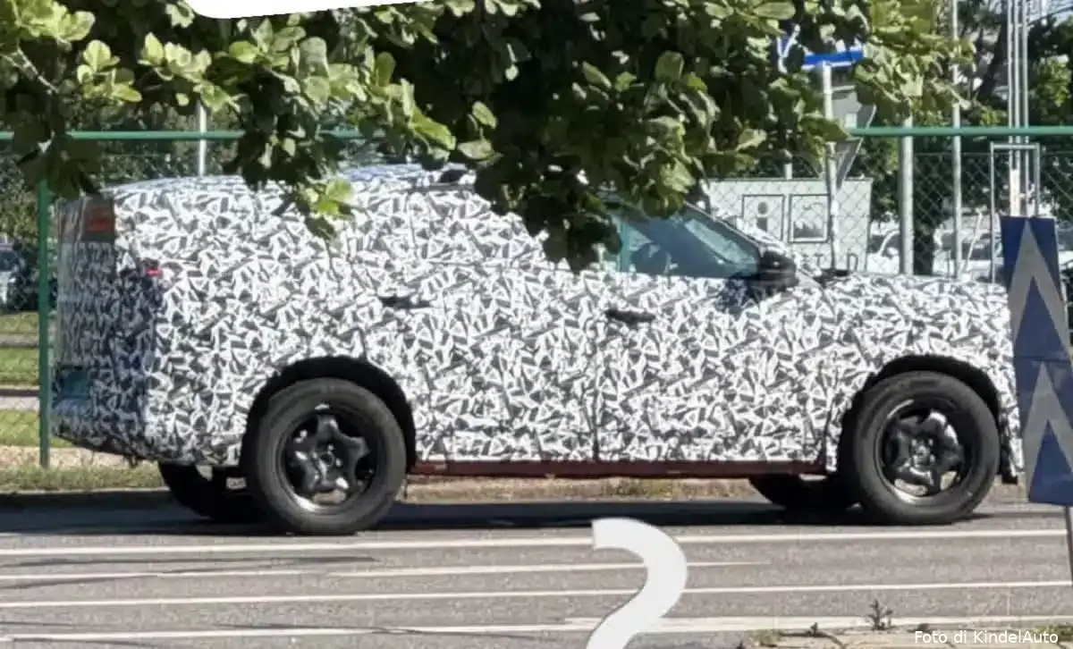 grandepanda fastaback