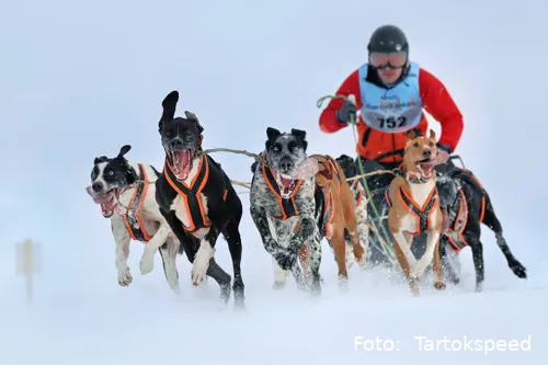 ECF7EA73-9B8C-4116-93D2-54946B67285D_1_105_c