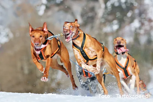 F9BE63C3-B205-4100-82A3-908F0F668C00_1_105_c