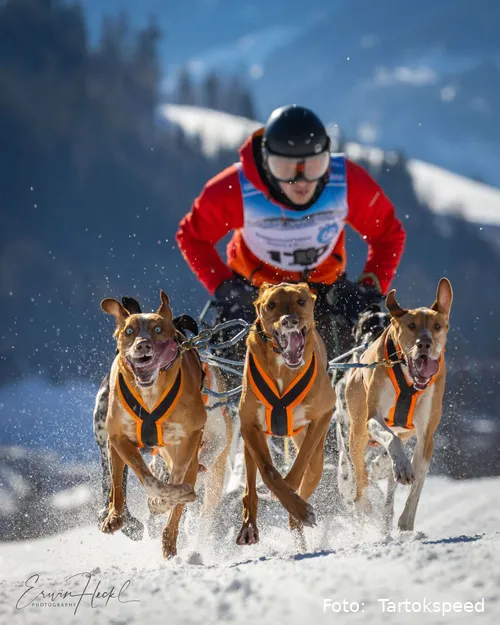 Werfenweng 2025 bij Erwin Heckel
