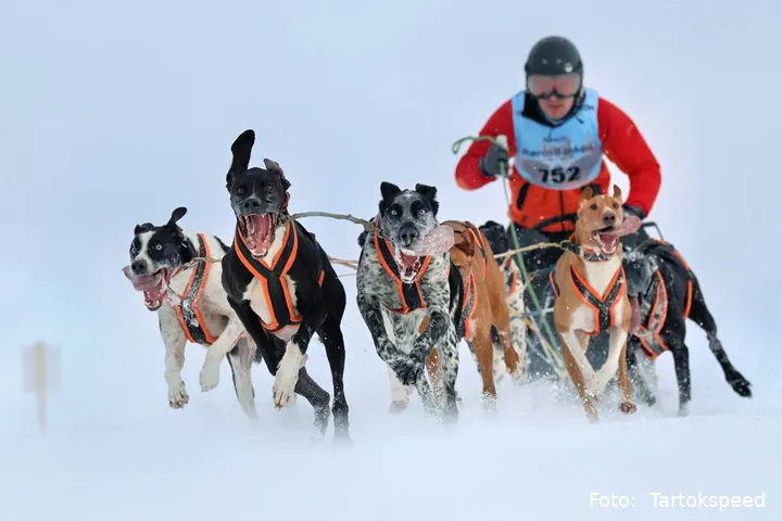 ECF7EA73-9B8C-4116-93D2-54946B67285D_1_105_c