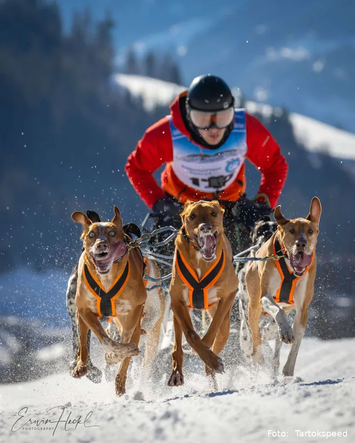 Werfenweng 2025 bij Erwin Heckel