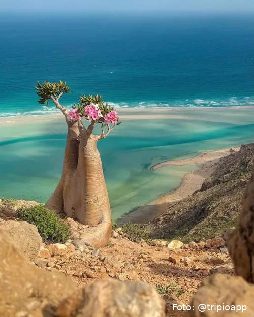 SnapInsta.to_586687227_18082856906110643_7984945233014047924_n