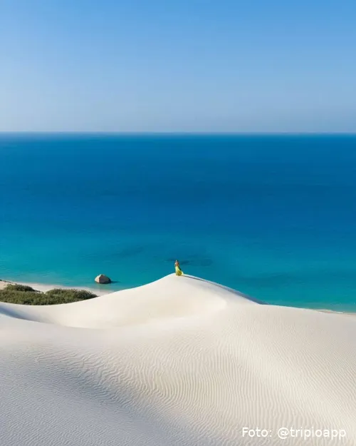 SnapInsta.to_586998871_18082856933110643_5240276351211890475_n