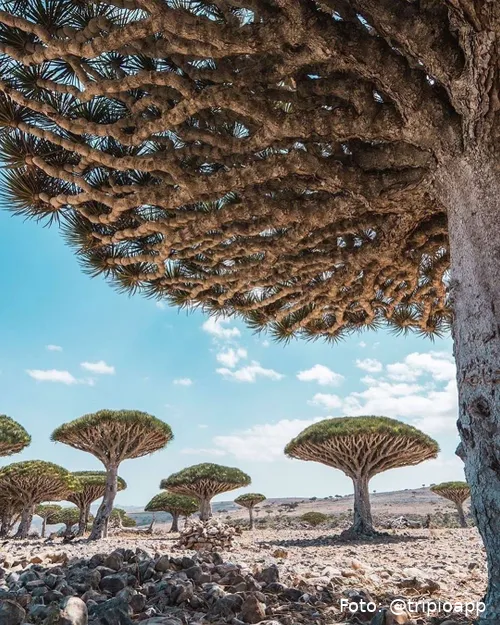 SnapInsta.to_590880150_18082856942110643_5472088438417564550_n