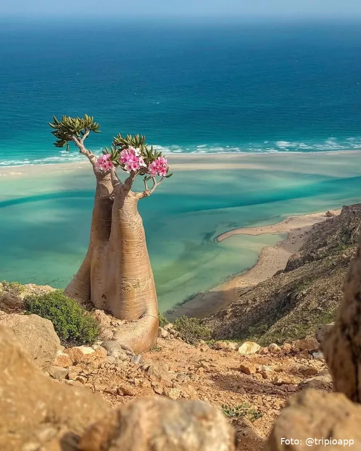 SnapInsta.to_586687227_18082856906110643_7984945233014047924_n