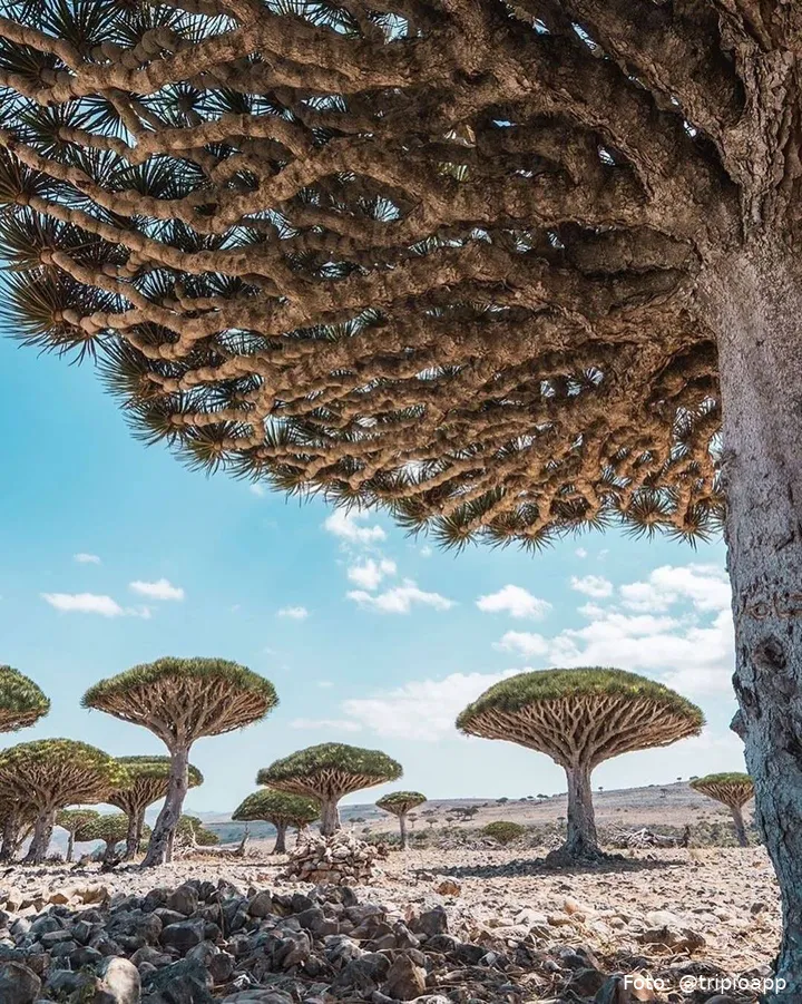 SnapInsta.to_590880150_18082856942110643_5472088438417564550_n