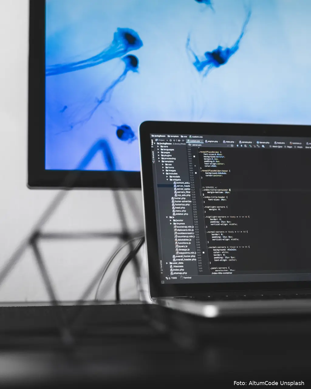 altumcode fppwhfn6eis unsplash