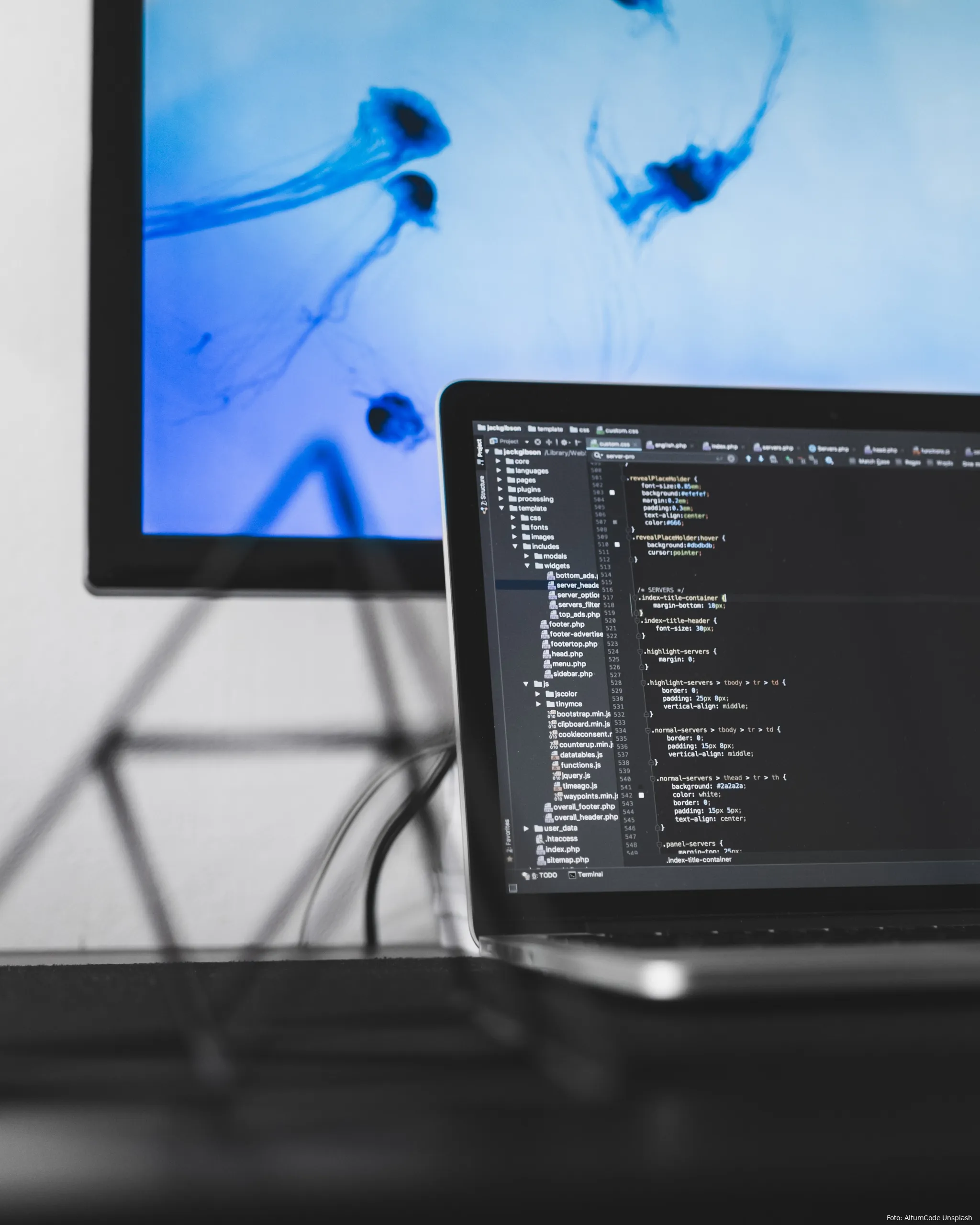 altumcode fppwhfn6eis unsplash
