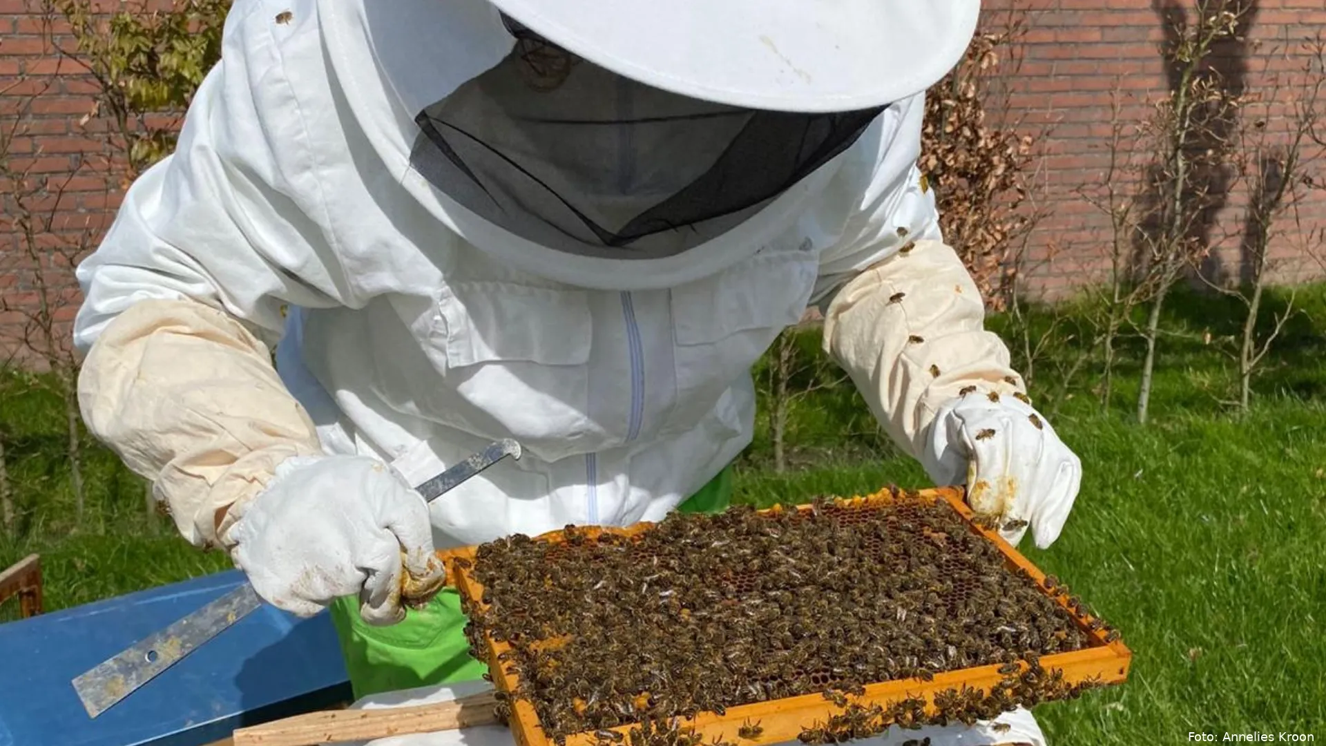 IVNjeugdnatuurclub op bezoek bij imker
