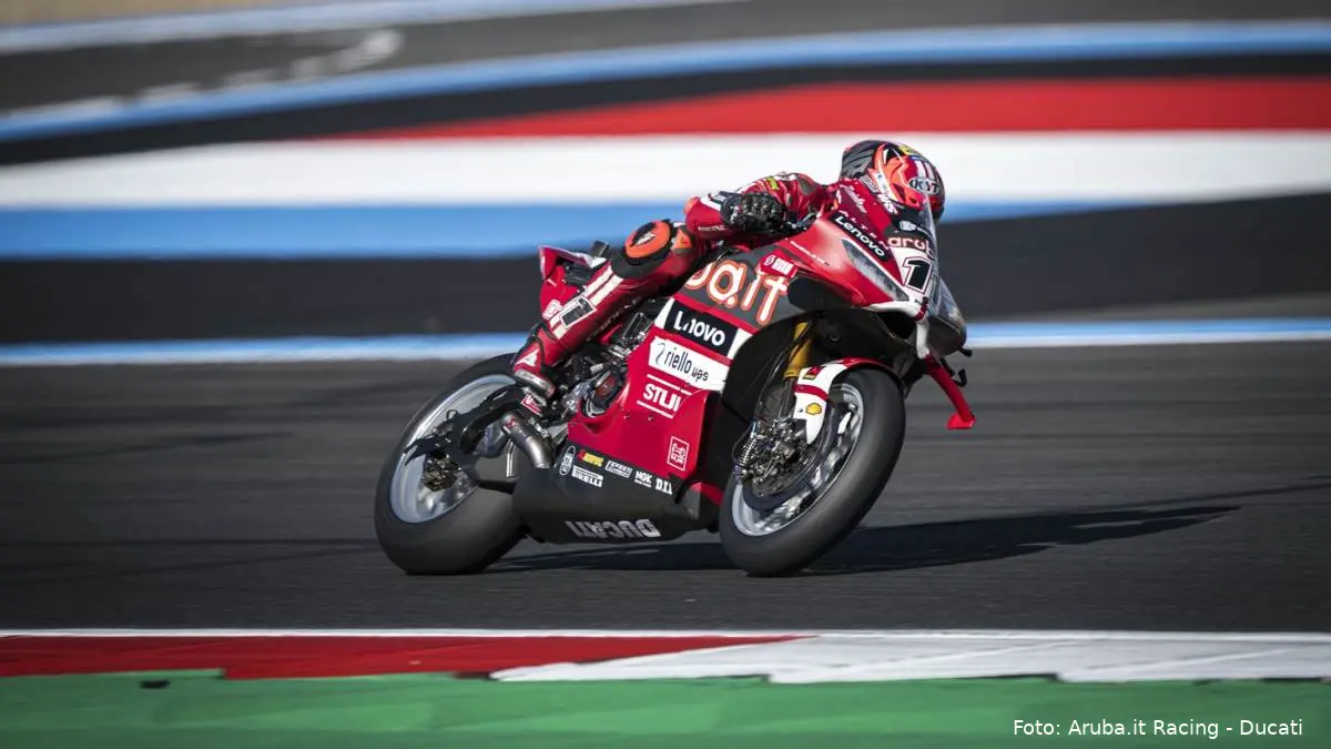 Nicolo Bulega