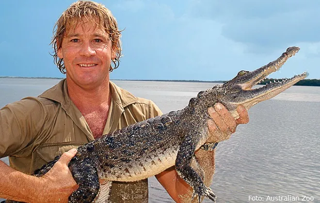 steve irwin