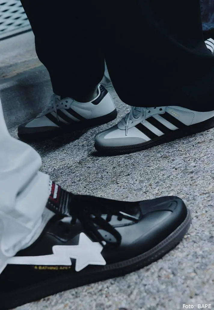 bape16-min