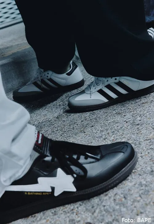 bape16-min