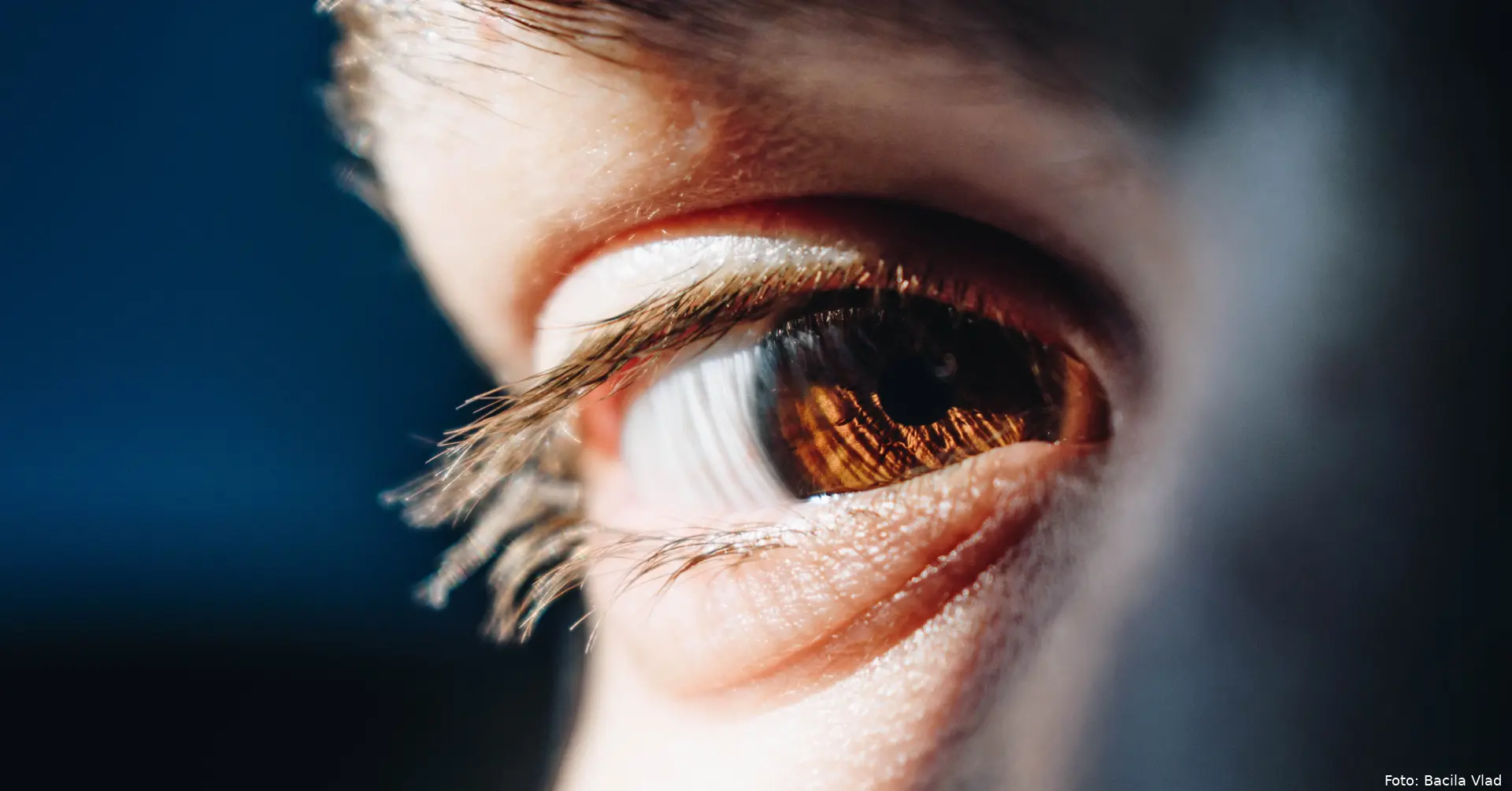 bacila vlad wtthc6umwei unsplash