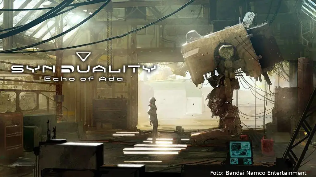 syndualoty