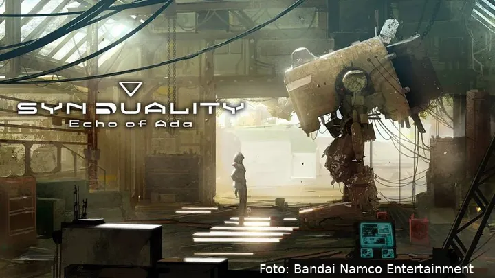 syndualoty