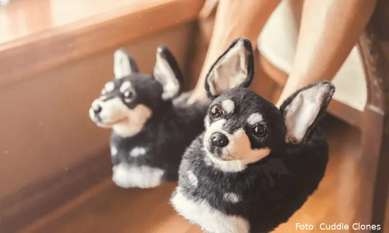 slippers thumbnail optimized 800x480