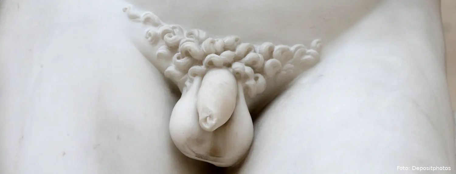 penis