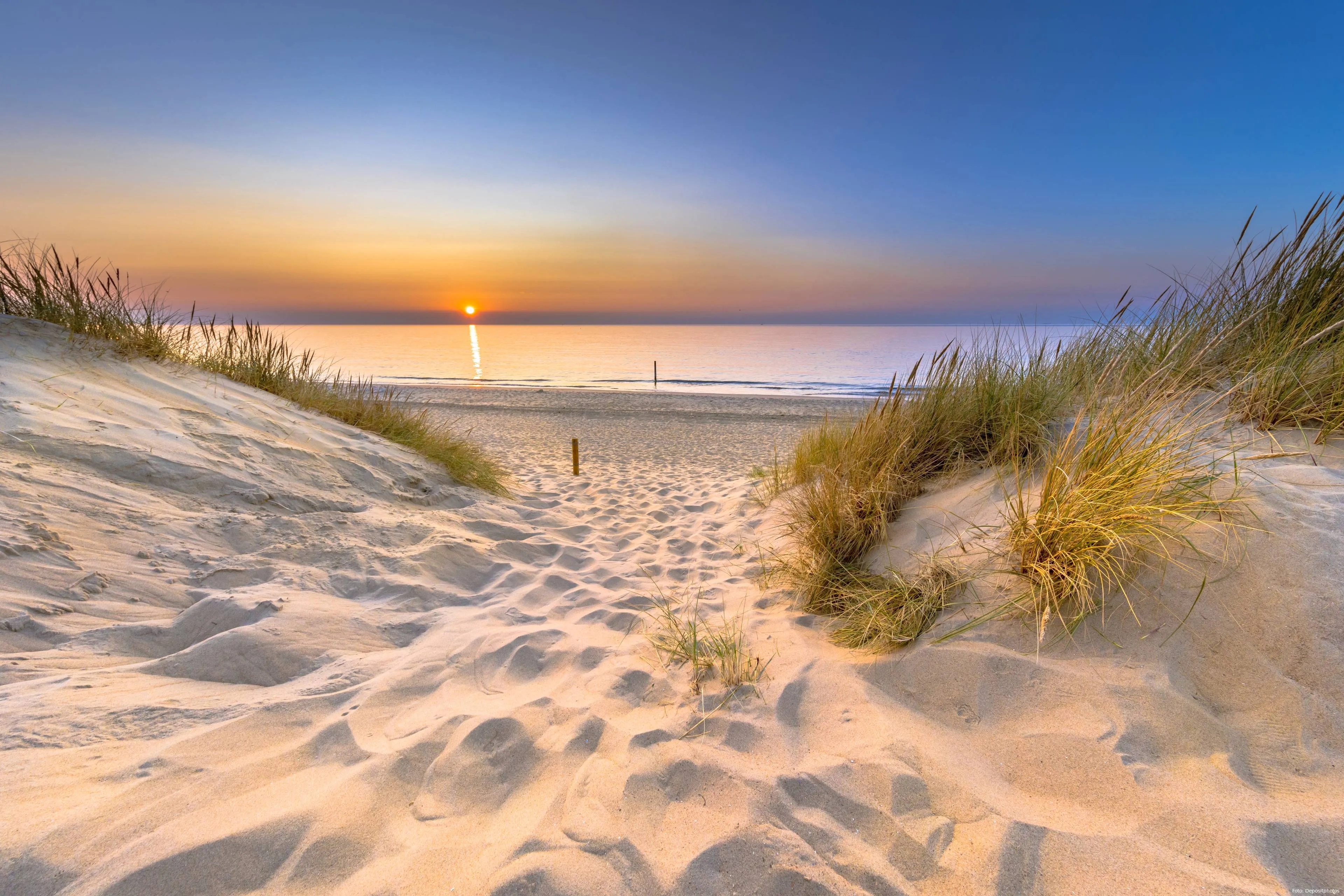 depositphotos 510475236 xl
