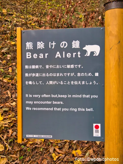 Depositphotos_384255412_XL