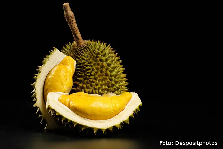 Depositphotos_199153972_XL