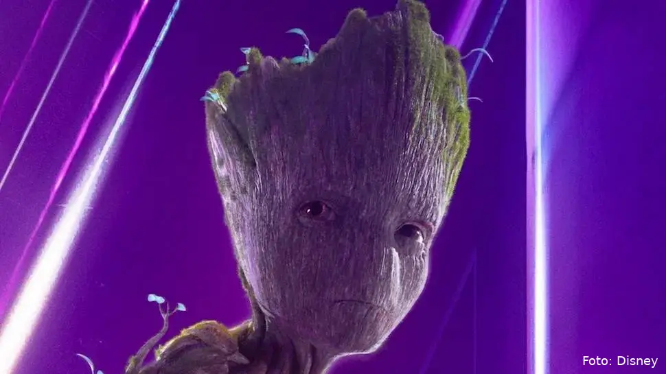 groot