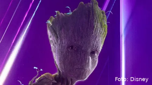 groot