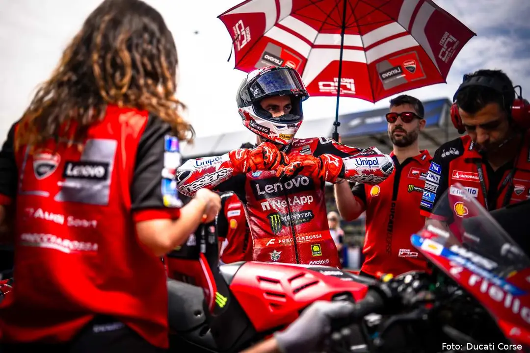 Pecco Bagnaia pilota Ducati MotoGP