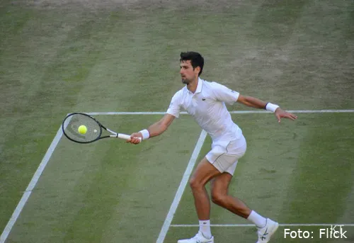 novak