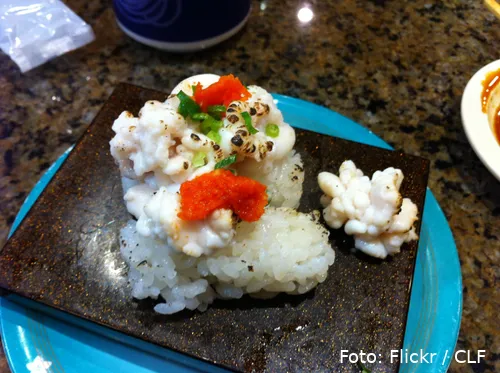 5356326015 daaa4e45a4 o