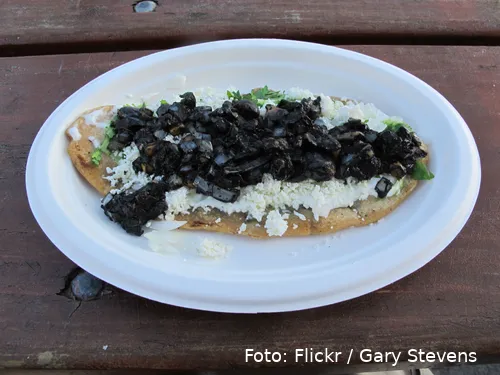 5766546583 49c280f7f9 o