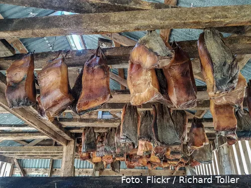 27147569166 7c3c2644d1 o